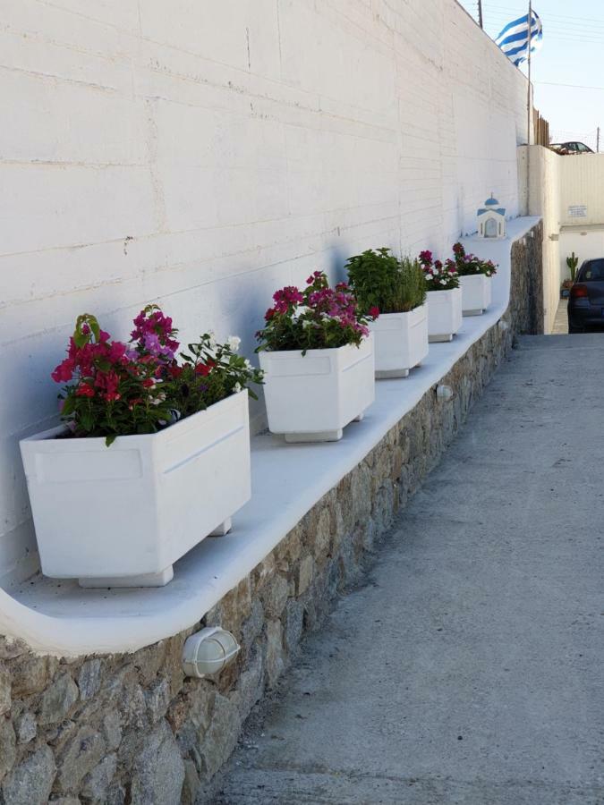 Mykonos Pro-Care Suites Ano Mera Luaran gambar